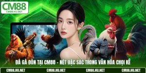 da ga don tai cm88 net dac sac trong van hoa choi ke