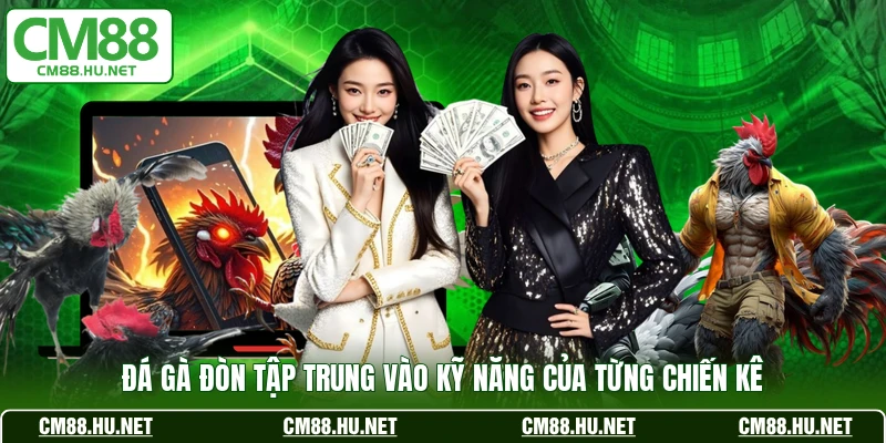 Đá gà đòn tập trung vào kỹ năng của từng chiến kê