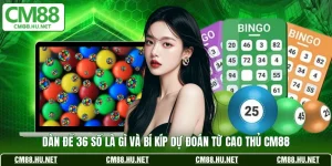 dan de 36 so la gi va bi kip du doan tu cao thu cm88
