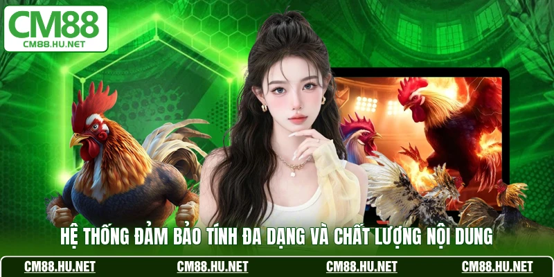 Hệ thống đảm bảo tính đa dạng và chất lượng nội dung
